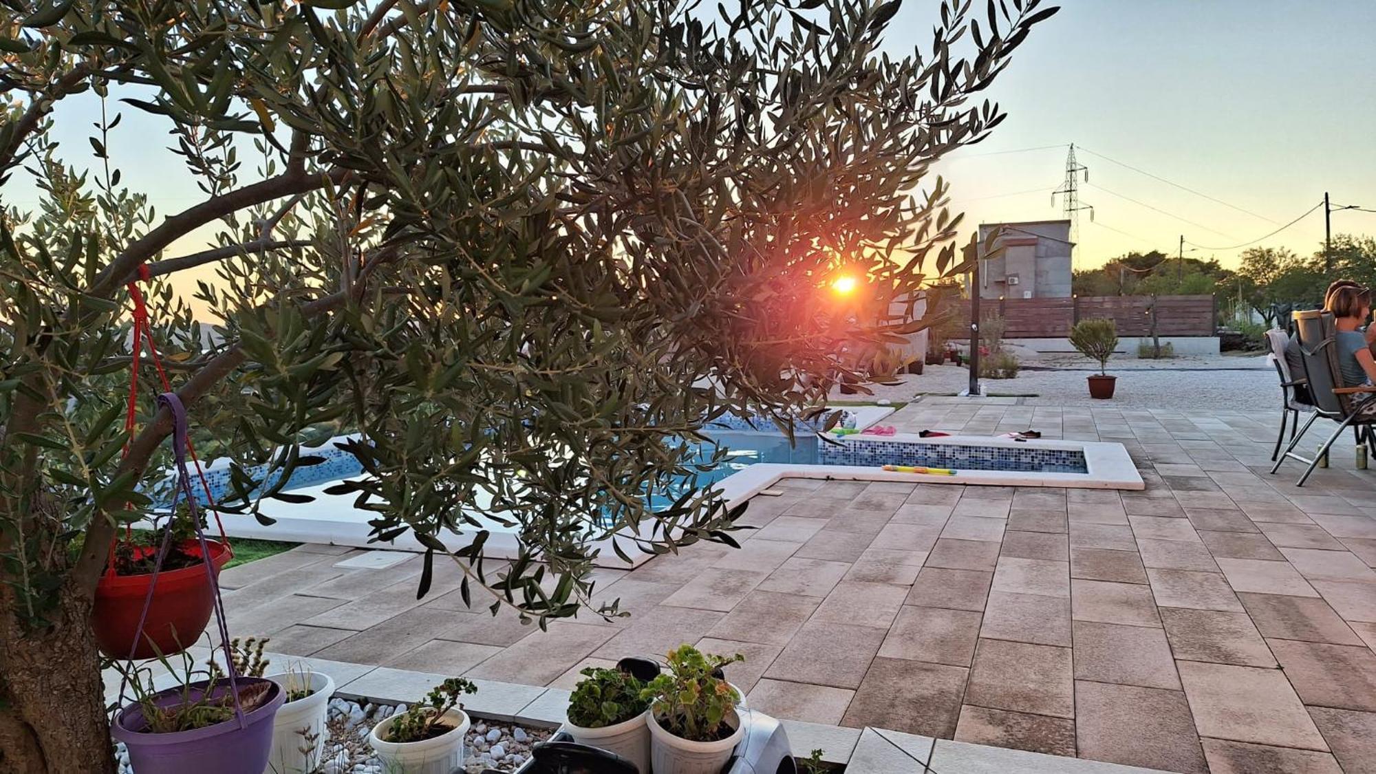 Villa Scolopax Rusticola Skradin With Heated Pool Dış mekan fotoğraf